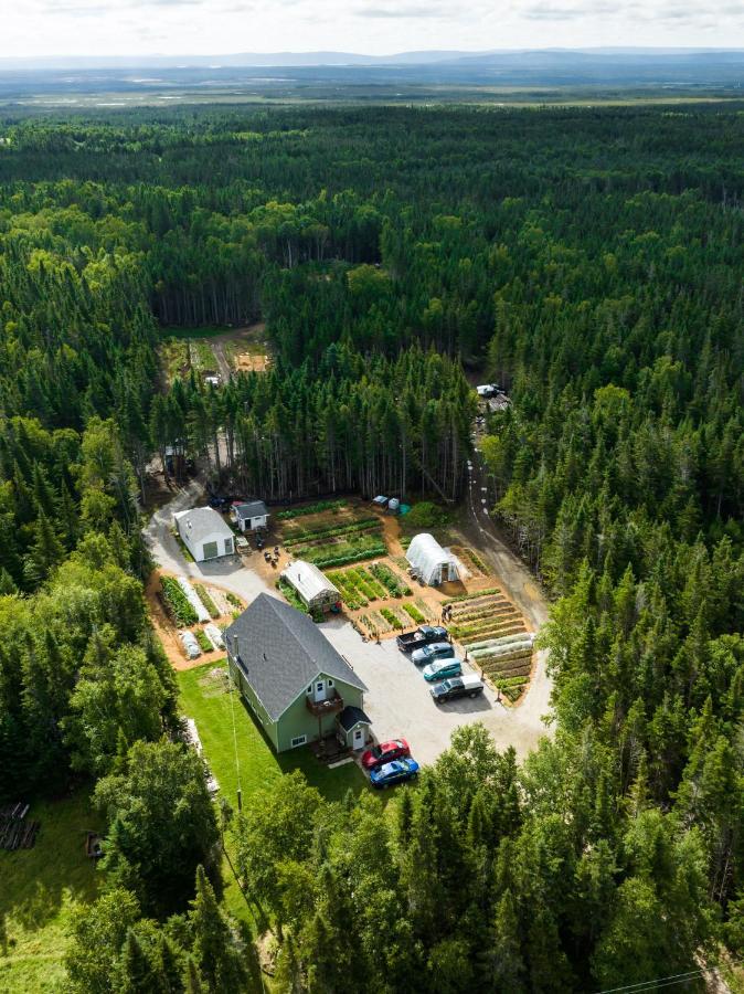 Upper Humber Settlement A Farmstay B&B Cormack Exterior foto